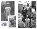 Photo Restoration by Picture Renewal
