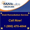 MAS Labs Mold Remediation